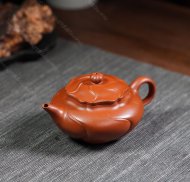 風卷葵
