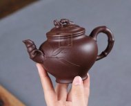 《笑櫻竹節》