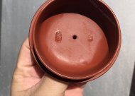 松報(bào)春