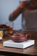 《望子成龍》宜興紫砂壺底槽青純手工工藝美術(shù)師泡茶壺特價茶具