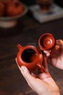 《巨輪西施》宜興實力派名家手工紫砂壺茶壺具朱泥西施