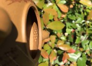 稱心如意；金葵段泥220CC