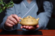 《石瓢》石瓢宜興紫砂壺純手工工藝美術師茶壺稀有本山綠泥