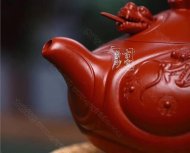 《魚化龍?zhí)捉M》