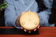 《石瓢》石瓢宜興紫砂壺純手工工藝美術師茶壺稀有本山綠泥