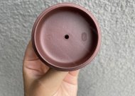 雄風