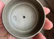 笑櫻竹節