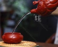 《魚化龍?zhí)捉M》