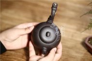 《樂(lè)竹》