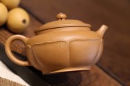 《碗燈梵蓮》宜興紫砂壺助理工藝美術師手工黃金段茶具